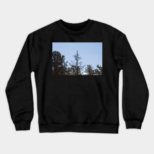 Raven's Way Crewneck Sweatshirt